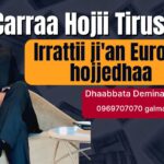 Online Dhaabata Deminaa Tech